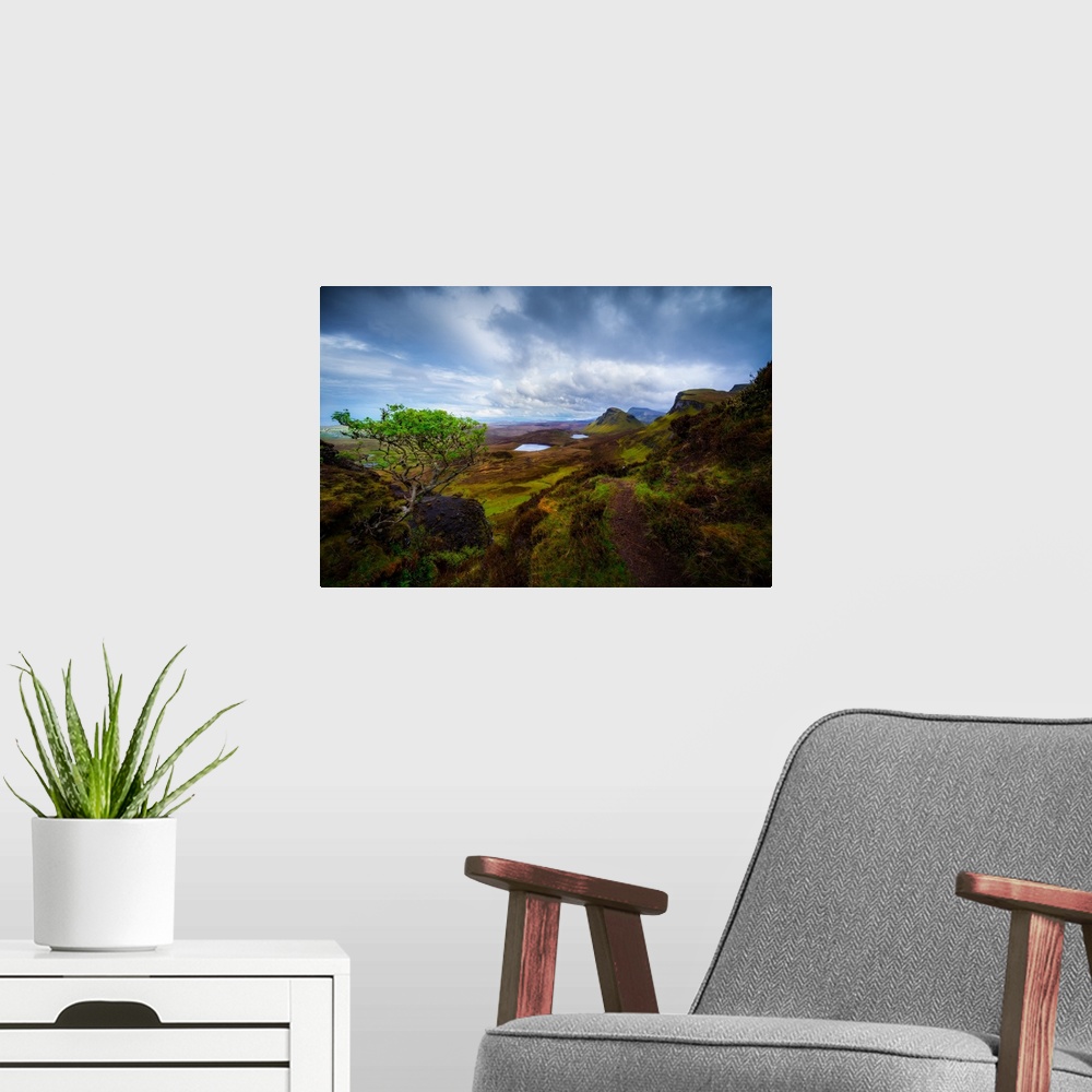 A modern room featuring A Lone Tree Overlooking Scotland's Quiraing, Isle of Skye
