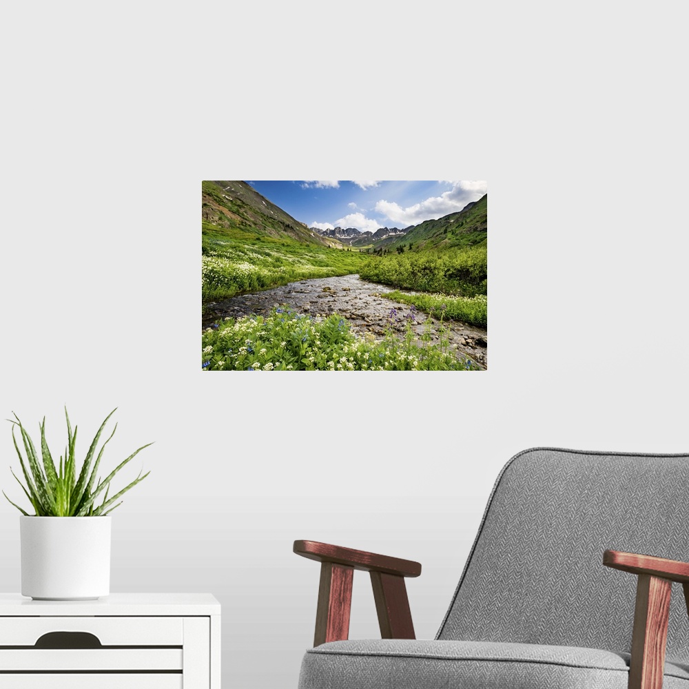 A modern room featuring Rushing Stream in a Valley, Gunnison National Forest, Colorado, Summer