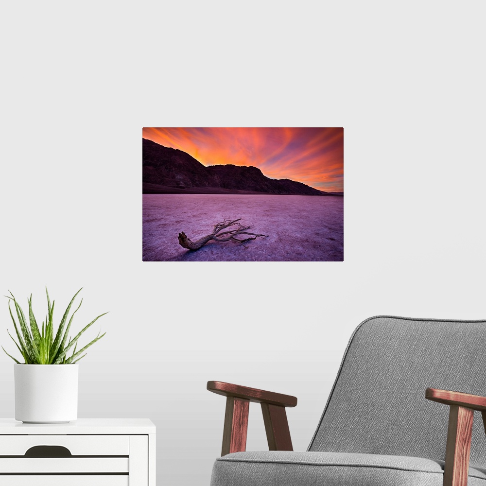 A modern room featuring Sun Rise In Death Valley and a Lone Branch, Badwater Basin