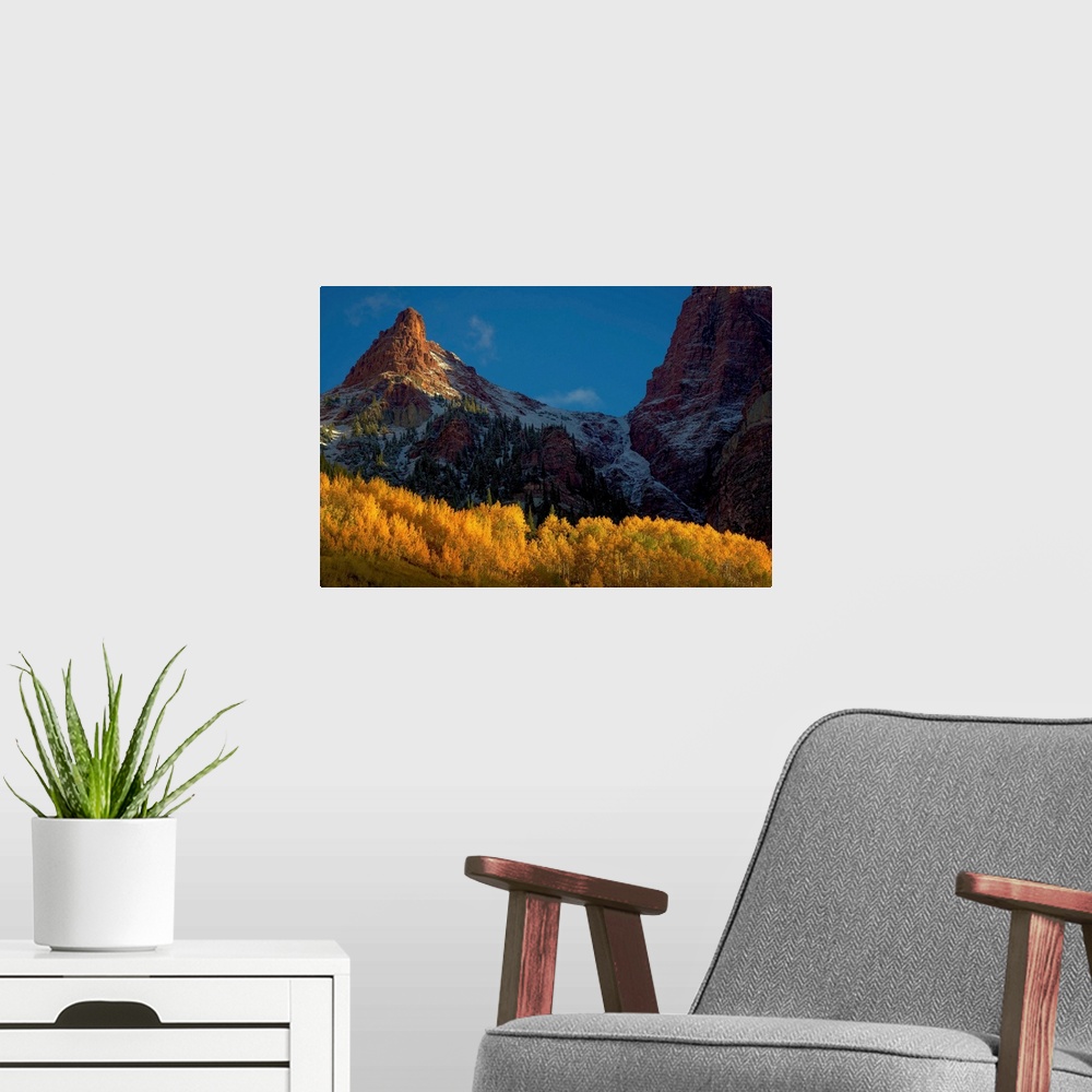 A modern room featuring Sunlight On the Peak and Aspens, Maroon Bells Wilderness White River National Forest