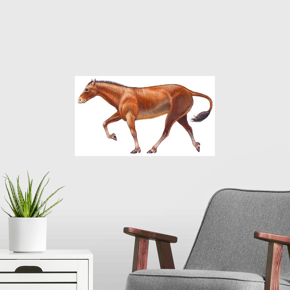 A modern room featuring Mesohippus, Extinct Horse