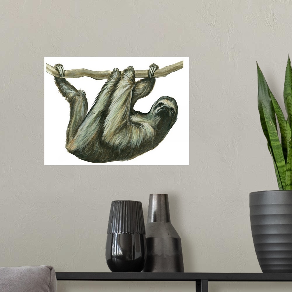 A modern room featuring Three-Toed Sloth (Bradypus Tridactylus)