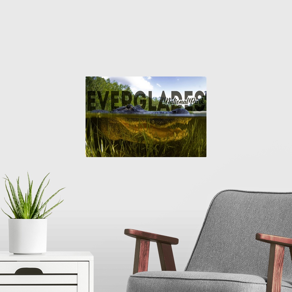 A modern room featuring Everglades National Park, Crocodile Portrait: Travel Poster