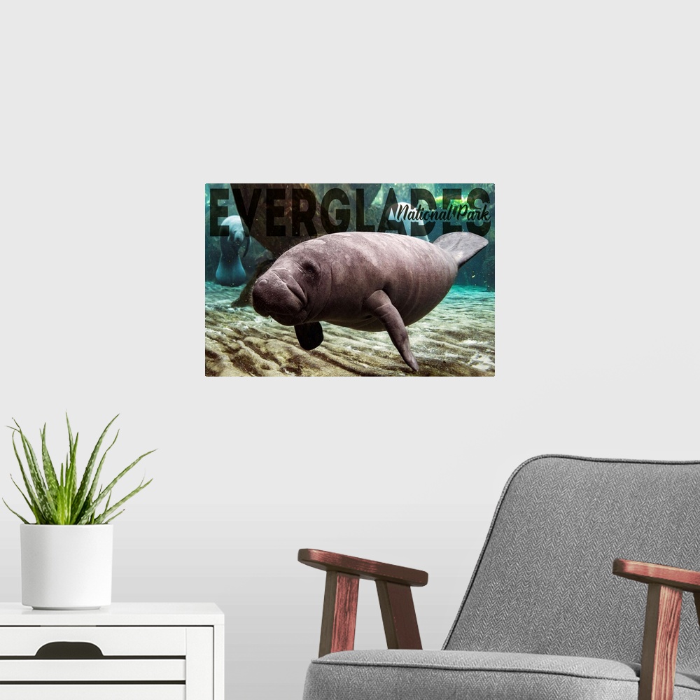 A modern room featuring Everglades National Park, Manatee: Travel Poster