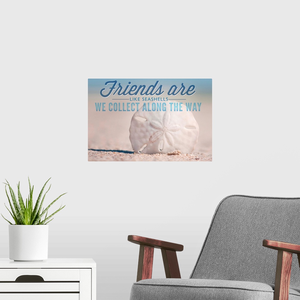 A modern room featuring Friends are Like Seashells, Sand Dollar