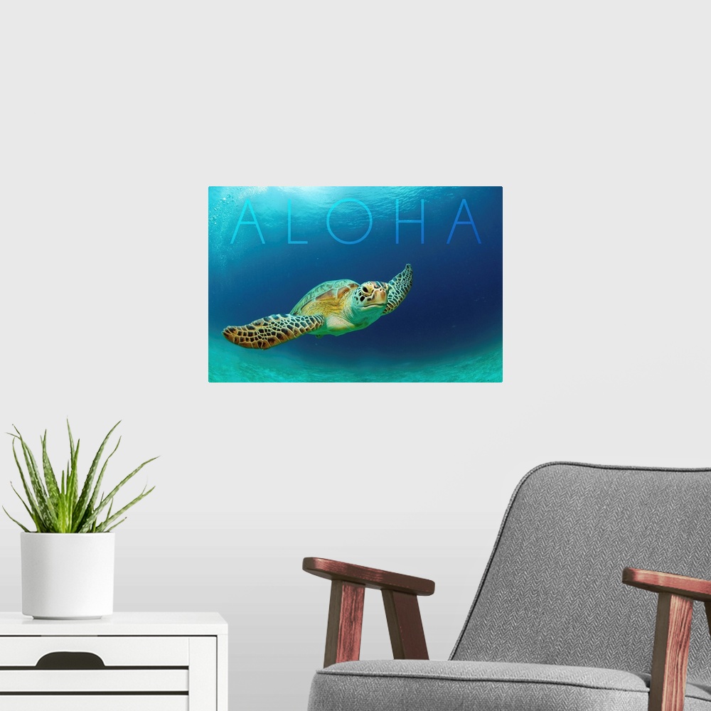 A modern room featuring Sea Turtle Swimming - Aloha