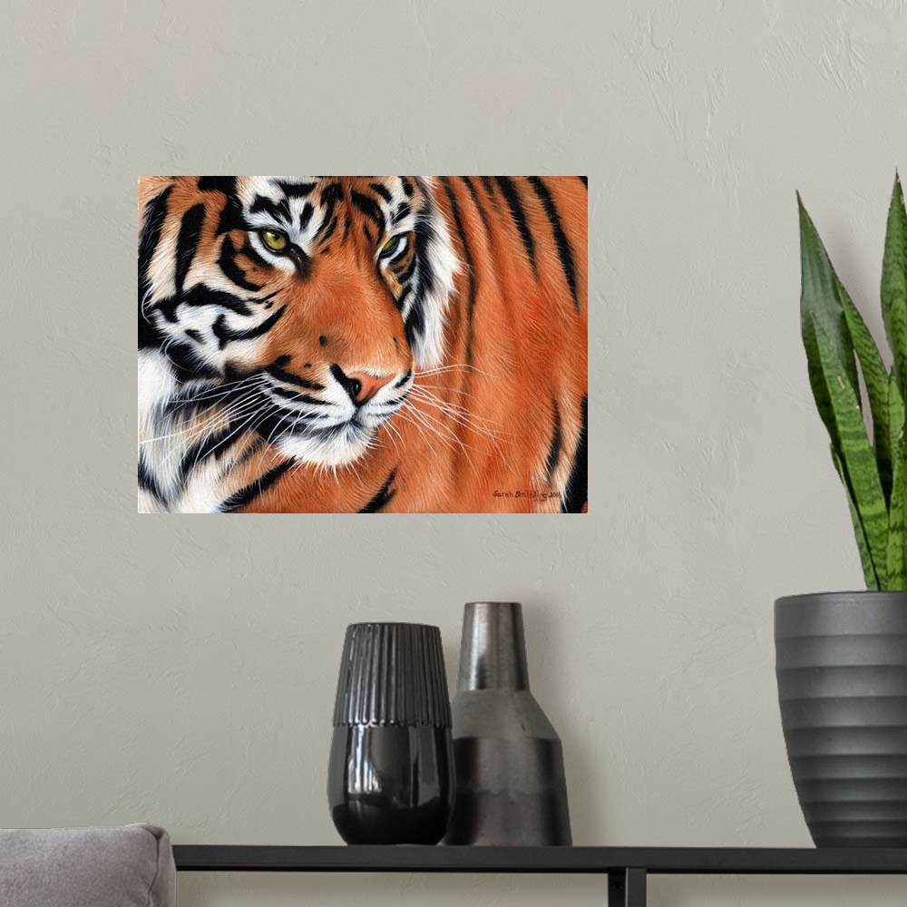 A modern room featuring Portrait of an intense-looking tiger.
