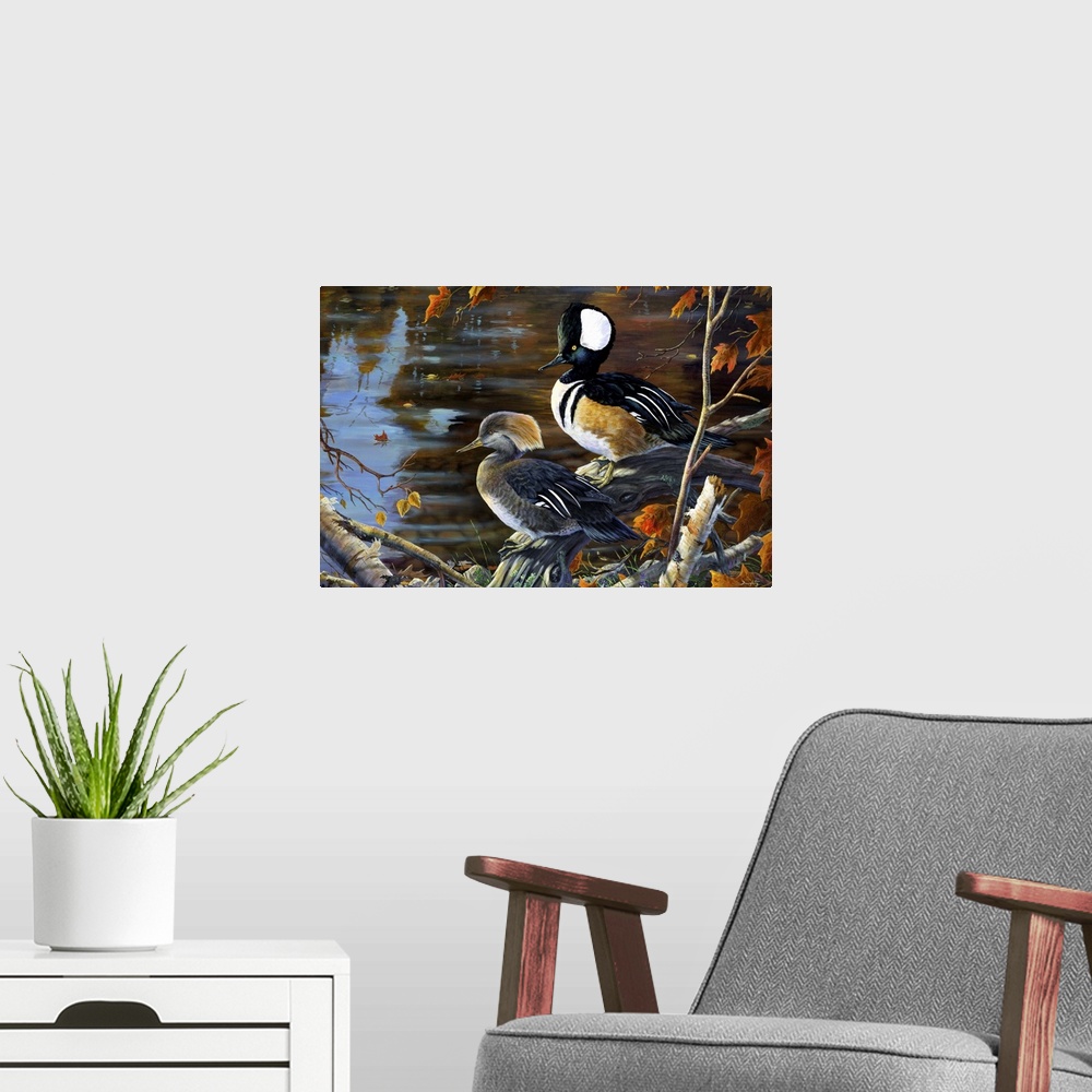 A modern room featuring Secluded Shoreline Hooded Mergansers