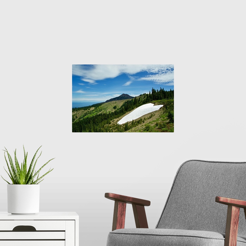 A modern room featuring USA, Washington State, Olympic Peninsula, at the Hurrican Ridge Visitors Center: looking North to...