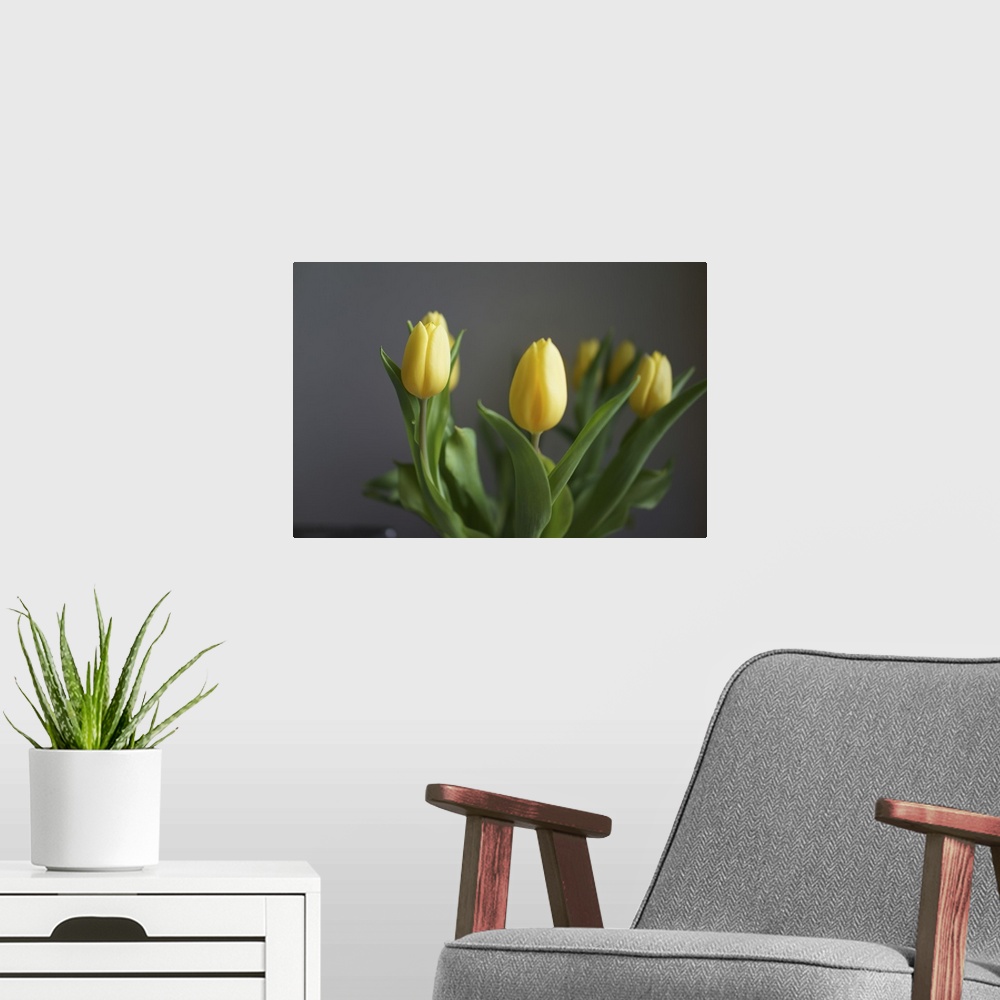 A modern room featuring Yellow tulips kept in a vase