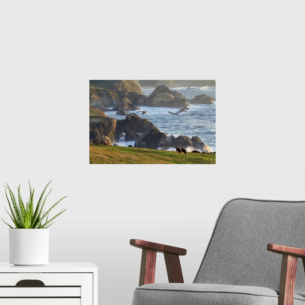 A modern room featuring Two cows graze in a field in Big Sur with spectacular rock formations and the beautifully lit oce...