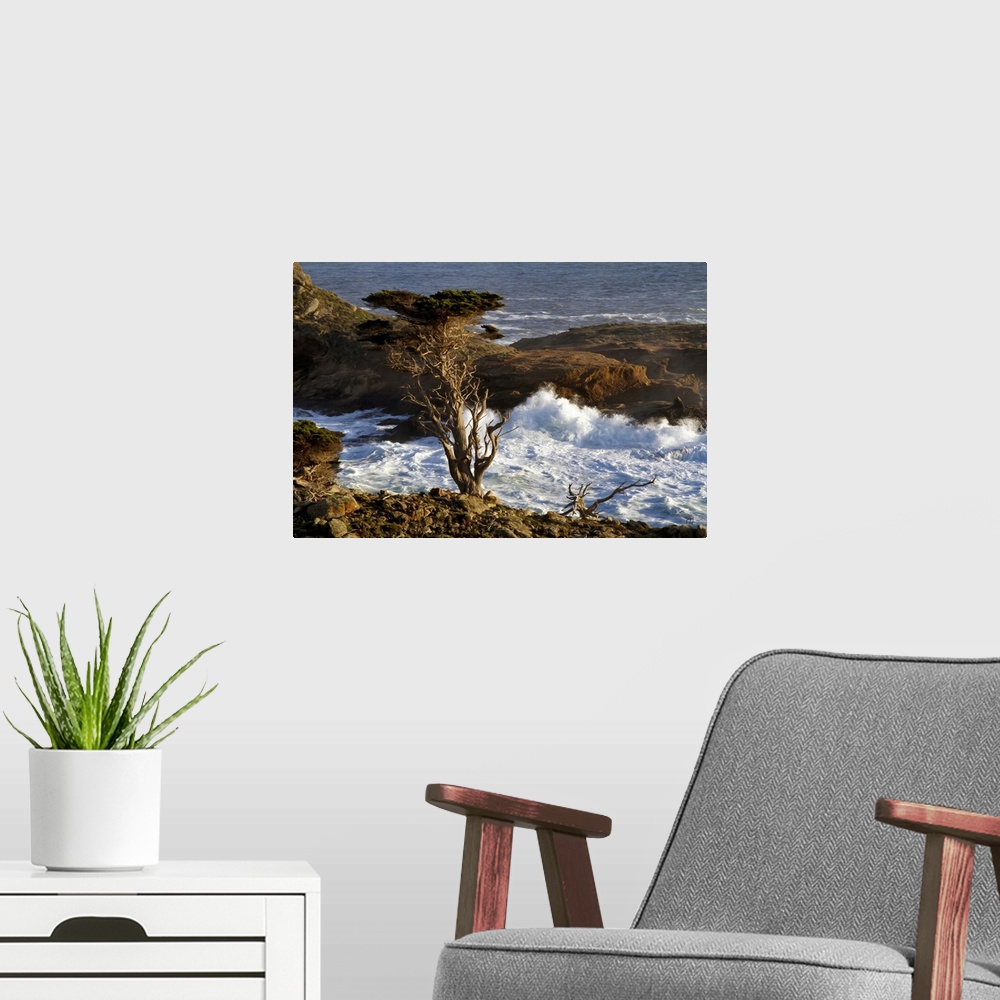 A modern room featuring A Monterey Cypress stands guard on a hill above crashing waves in the Point Lobos State Reserve, ...