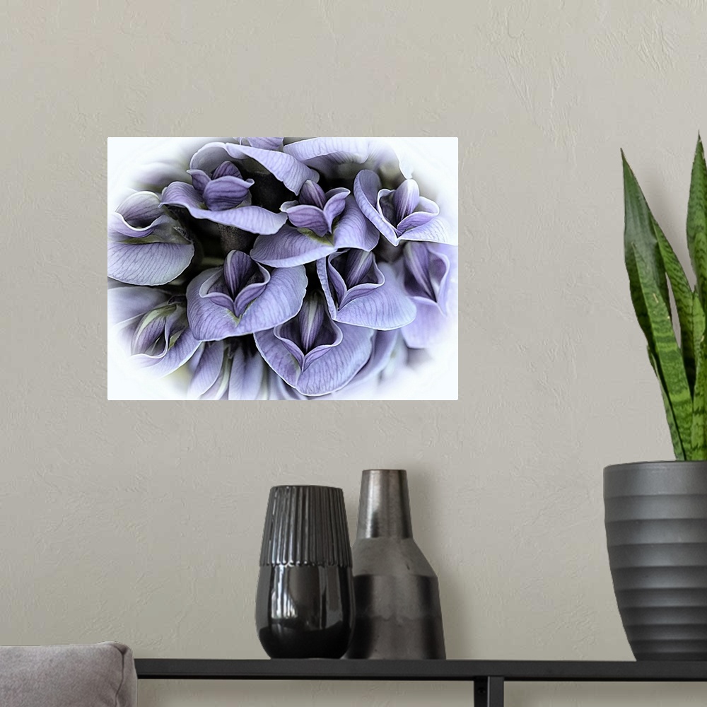 A modern room featuring A macro photograph of purple flowers surrounded by a white vignette.
