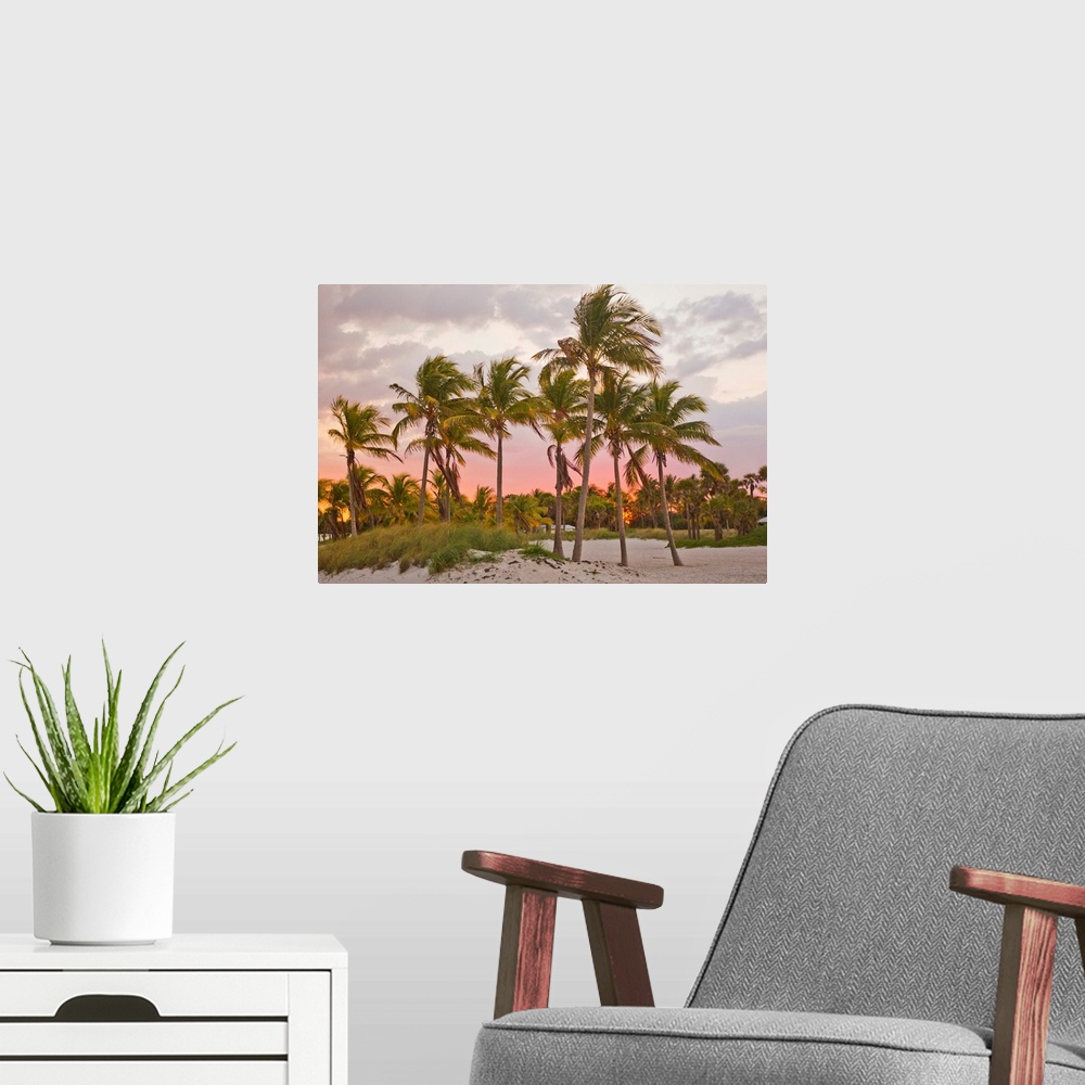 A modern room featuring A red glowing sky backlights palm trees at sunset on the beach in Key Biscayne.