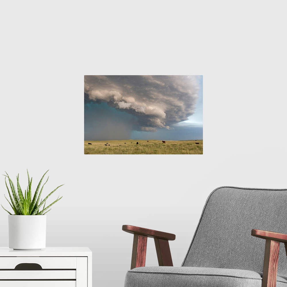 A modern room featuring From the National Geographic Collection.  Photograph of dark storm clouds swirling over a field o...