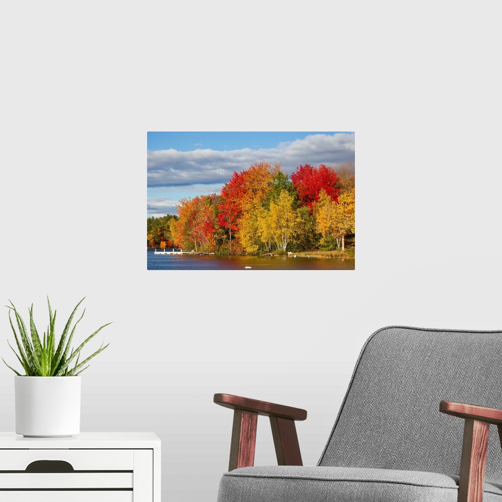 A modern room featuring Brilliantly colored trees on a lake shore during autumn.