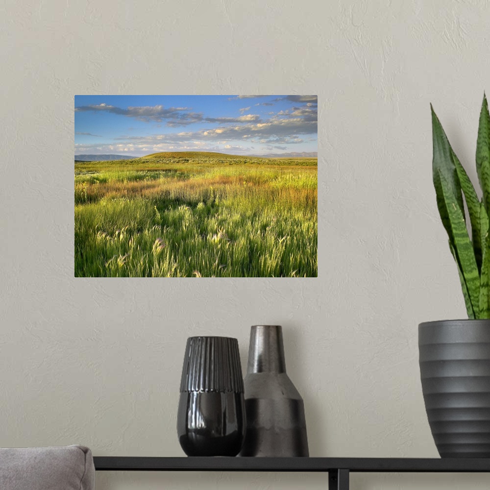 A modern room featuring Beautiful shot taken of vast grasslands in Colorado with hills and mountains seen in the distance.