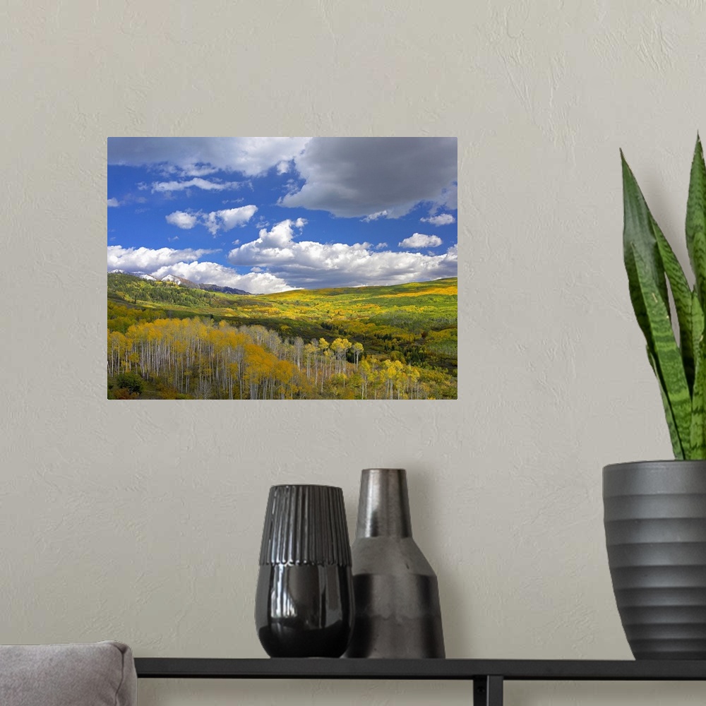 A modern room featuring Gunnison National Forest in fall, Colorado