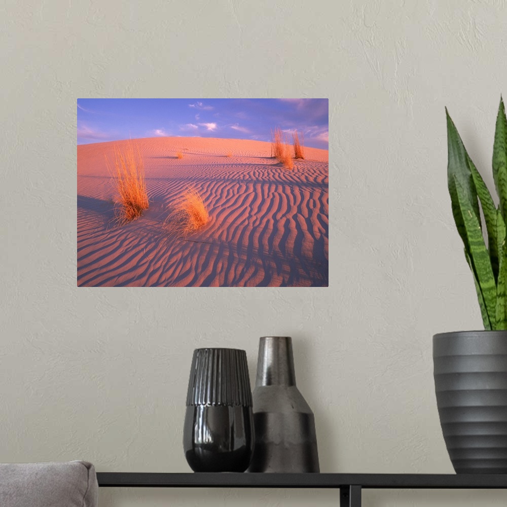 A modern room featuring Gypsum dunes, Guadalupe Mountains National Park, Texas