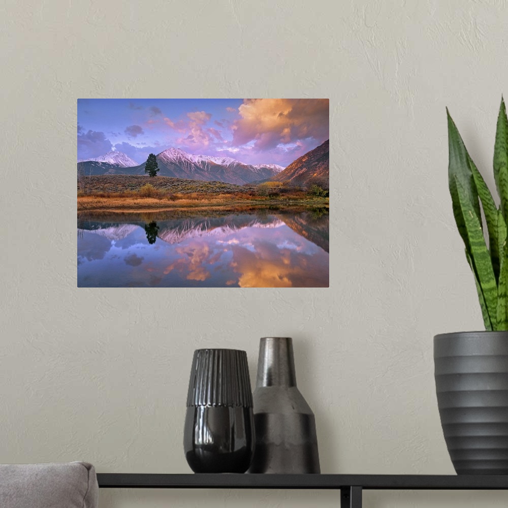 A modern room featuring La Plata and Twin Peaks reflected in Twin Lakes with a lone tree, Colorado