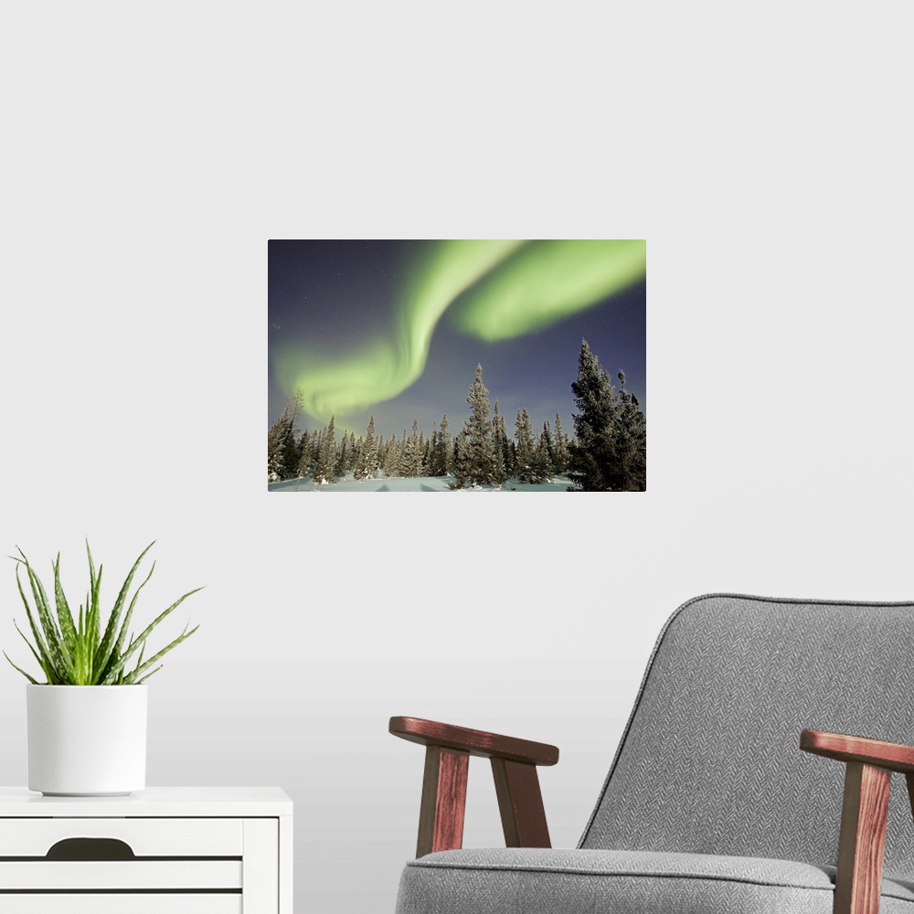 A modern room featuring Northern lights or aurora borealis over boreal forest, North America