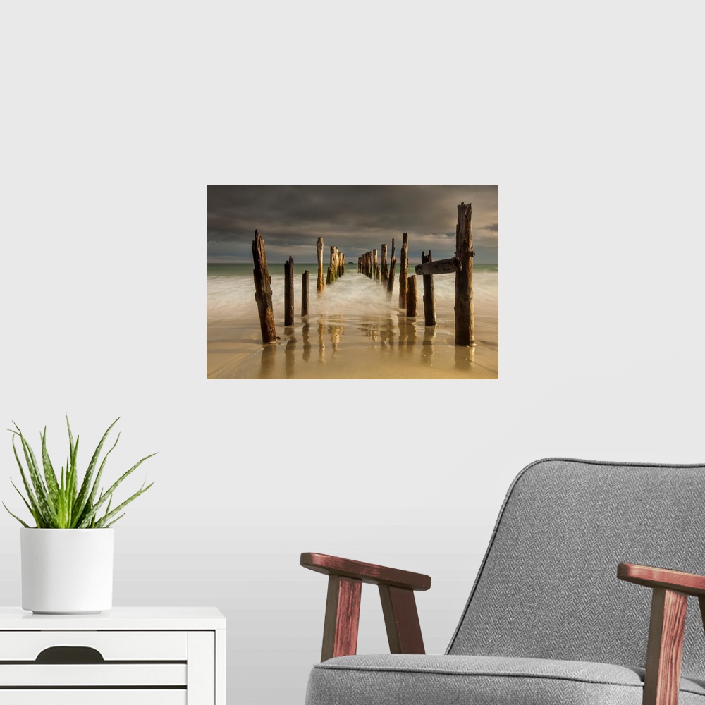 A modern room featuring Old wharf, evening light, St Clair beach, Dunedin, Otago