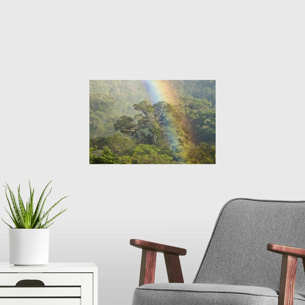 A modern room featuring rainbow, costa rica, scenic