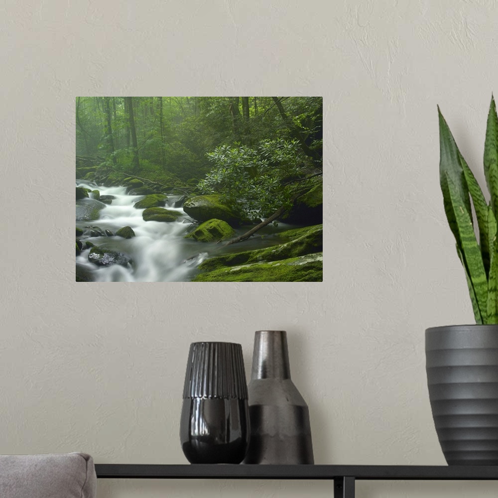 A modern room featuring Roaring Fork River flowing through forest in Great Smoky Mountains National Park
