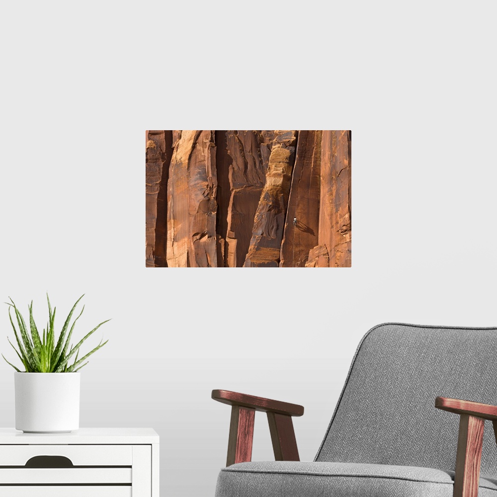 A modern room featuring Rock Climber Indian Creek Utah