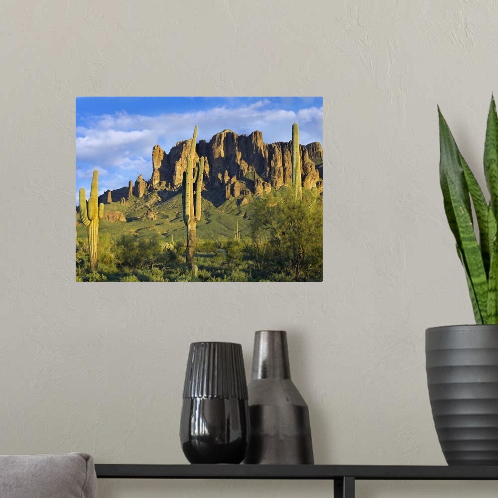 A modern room featuring Saguaro cacti and Superstition Mountains at Lost Dutchman State Park, Arizona