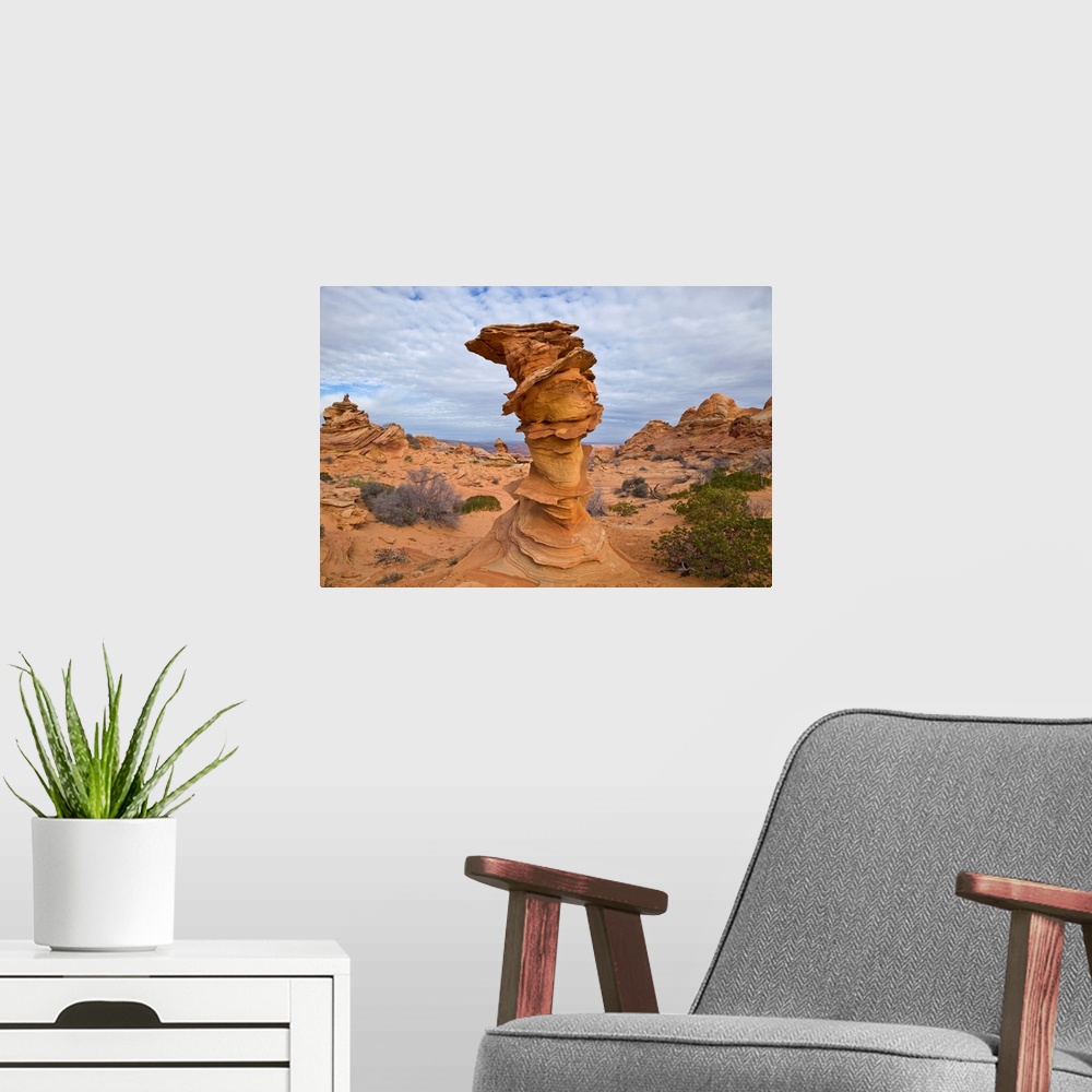 A modern room featuring Sandstone Formation Vermillion Cliffs National Monument Arizona