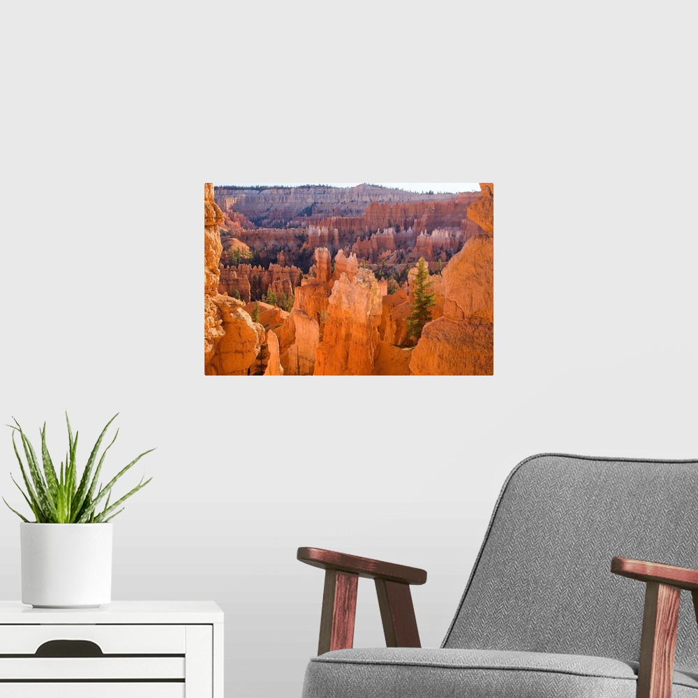 A modern room featuring Sandstone hoodoos, Bryce Canyon National Park, Utah