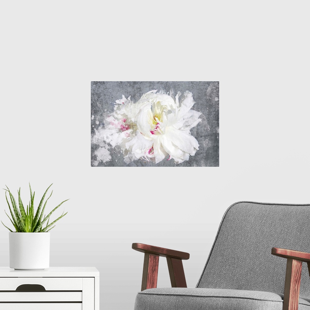 A modern room featuring Contemporary art of a white flower with delicate petals on grey.