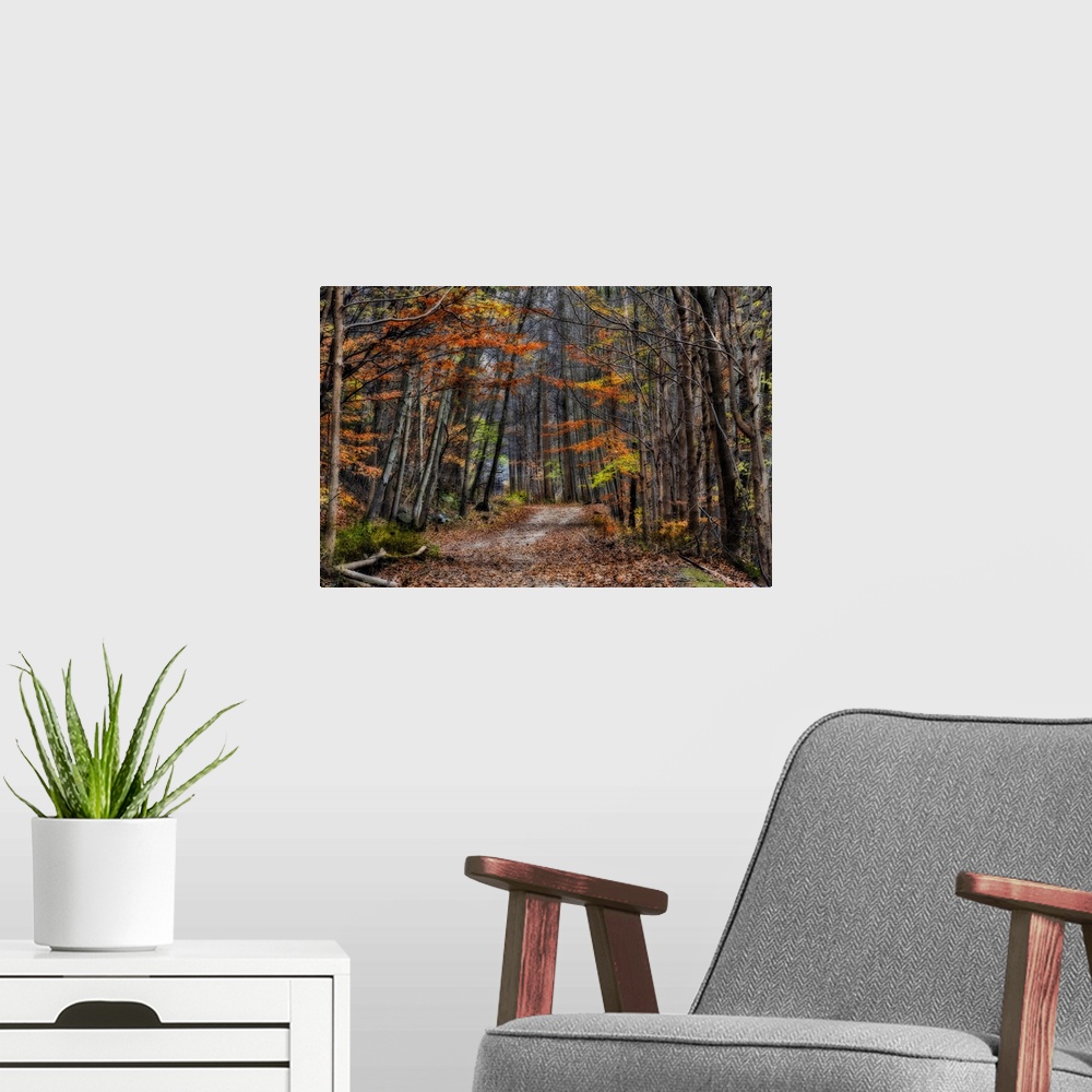 A modern room featuring Soft-focus effect applied to fall foliage along a mountain trail in Croton Dam Park.