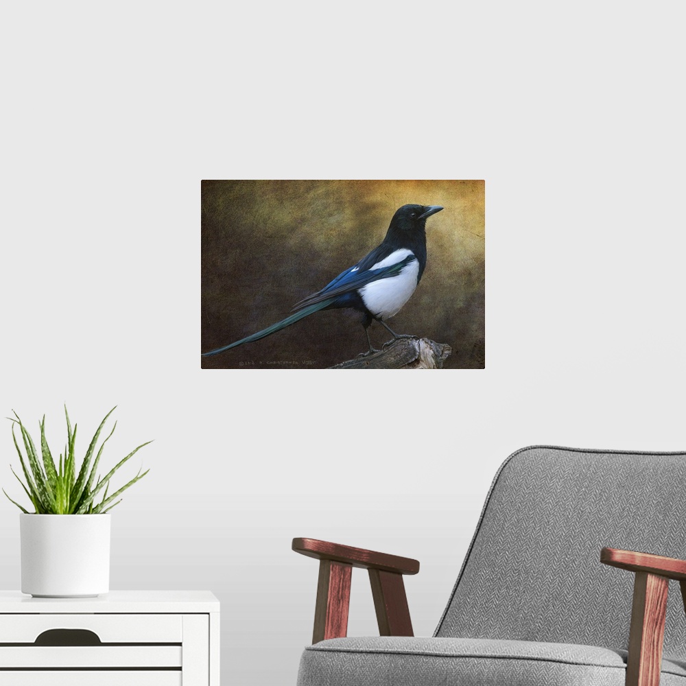 A modern room featuring Contemporary artwork of a portrait of a magpie.