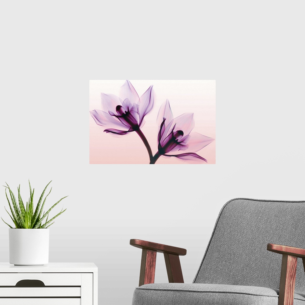 A modern room featuring Fine art photograph using an x-ray effect to capture an ethereal-like image of orchids.