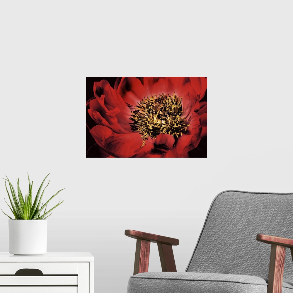 A modern room featuring Red Peony I