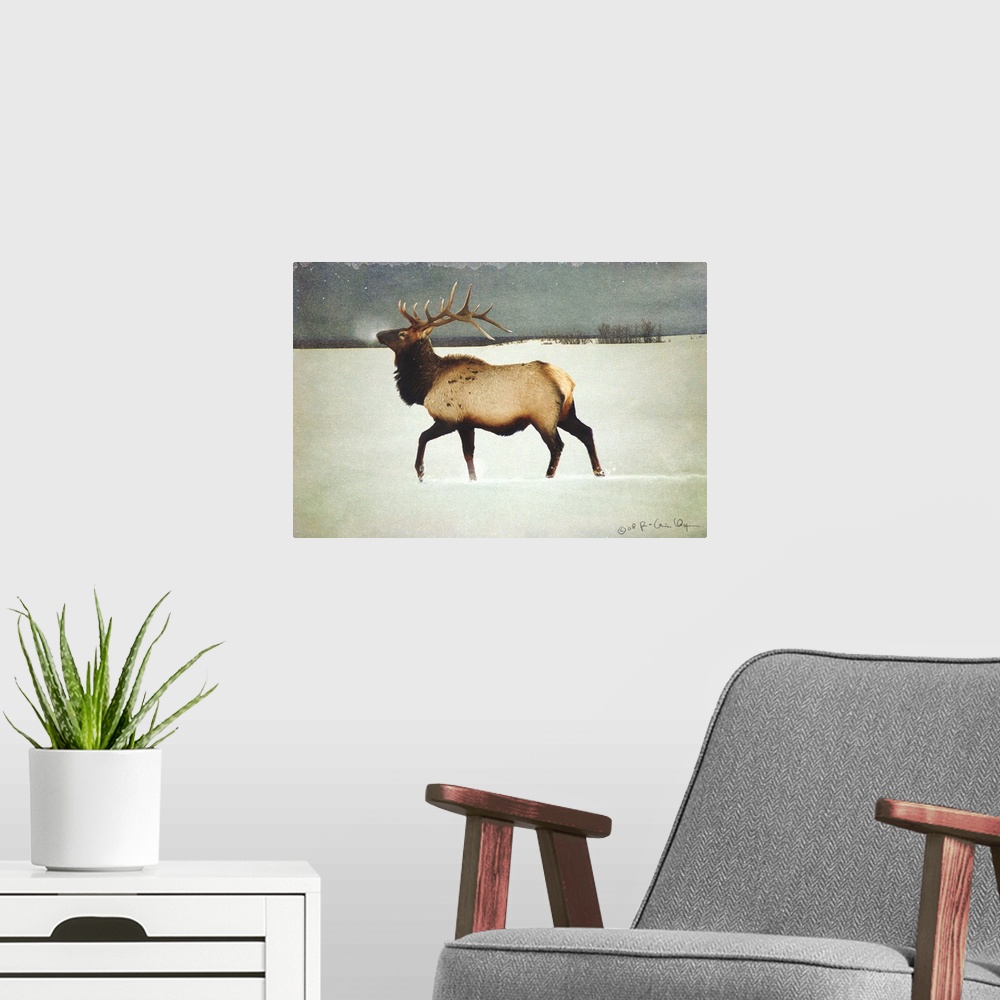 A modern room featuring Contemporary artwork of an elk standing in a snowy field.