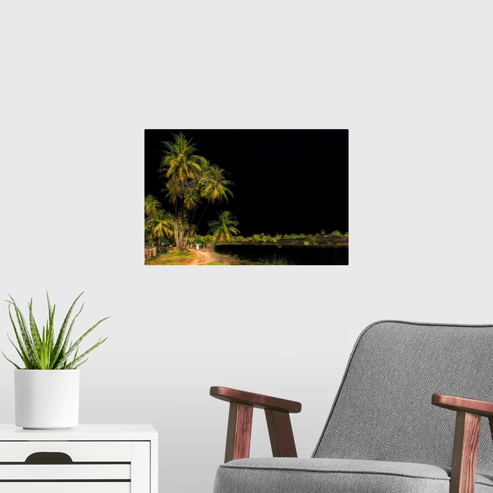 A modern room featuring A beach with palm trees in Asia against the dark sky