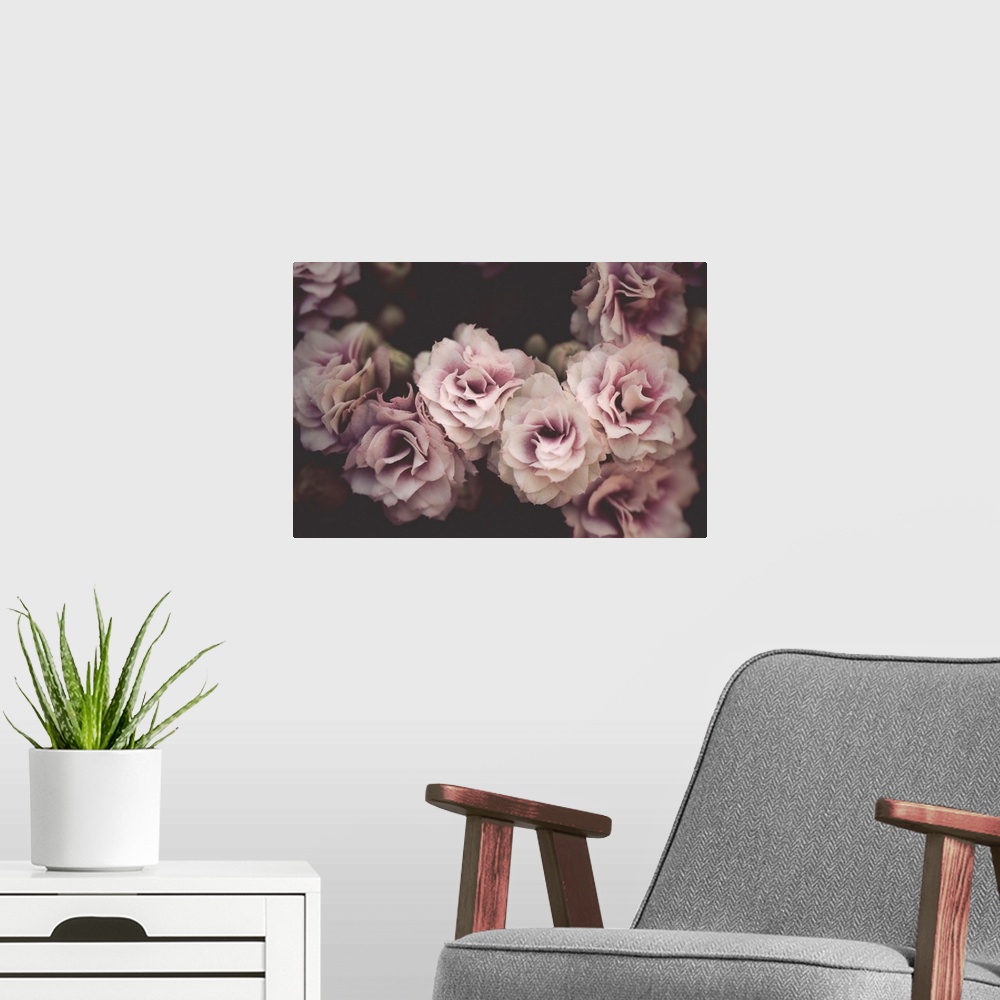 A modern room featuring Dreamlike photograph of pink and white flowers clustered together on a dark background.