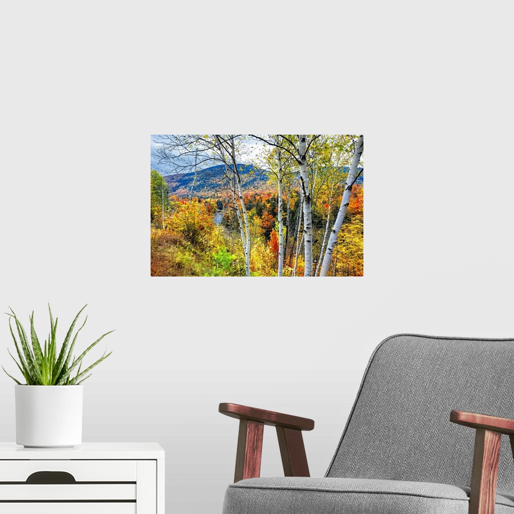 A modern room featuring Autumn color explosion in the white mountains with the Pemigewasset River, Franconia, New Hampshi...