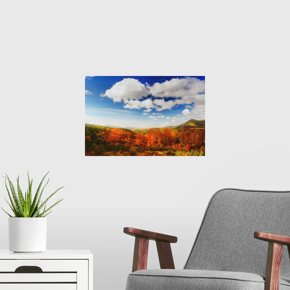 A modern room featuring Colorful trees in autumn with beautiful blue sky and clouds