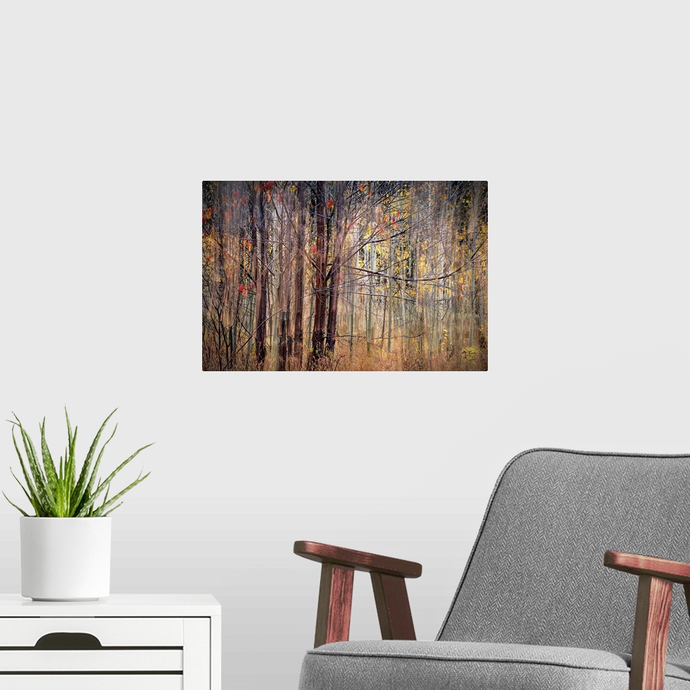 A modern room featuring Blurred motion image of trees in fall colors.