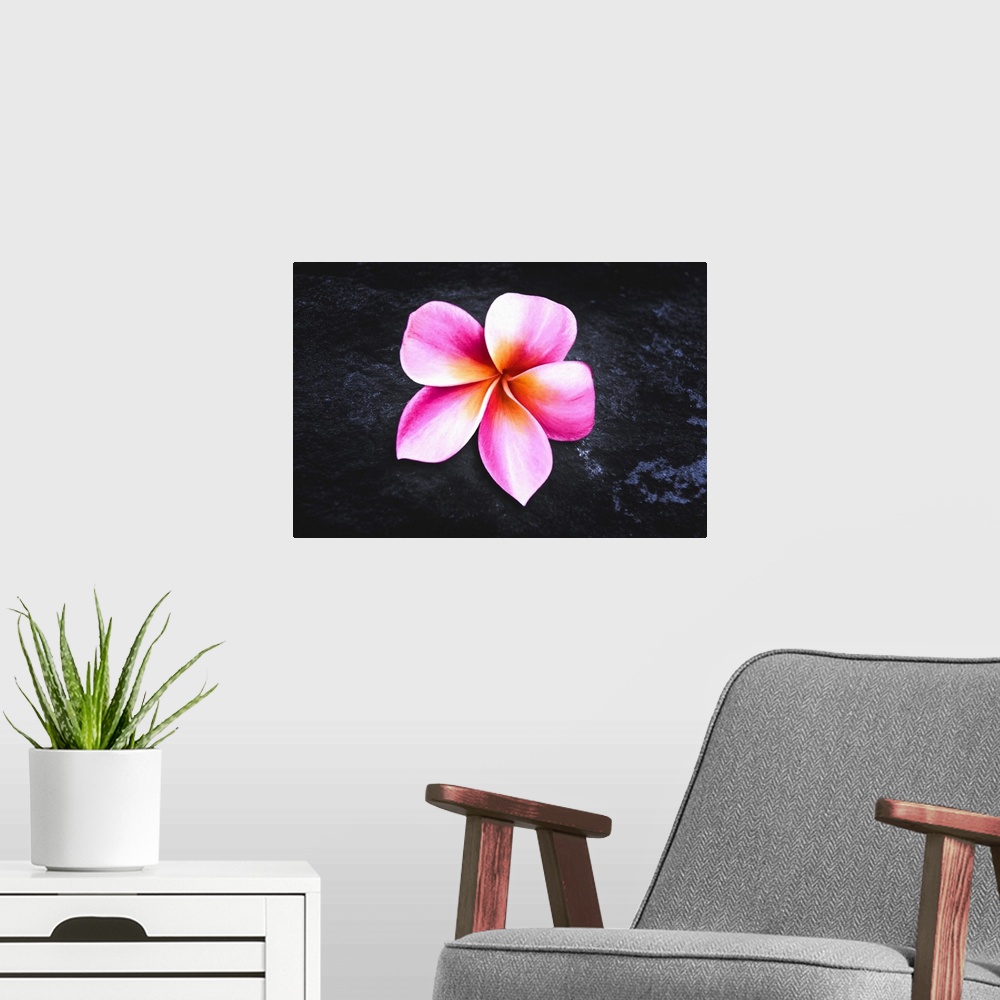 A modern room featuring Frangipane flower also called Plumeria, very common in Asia