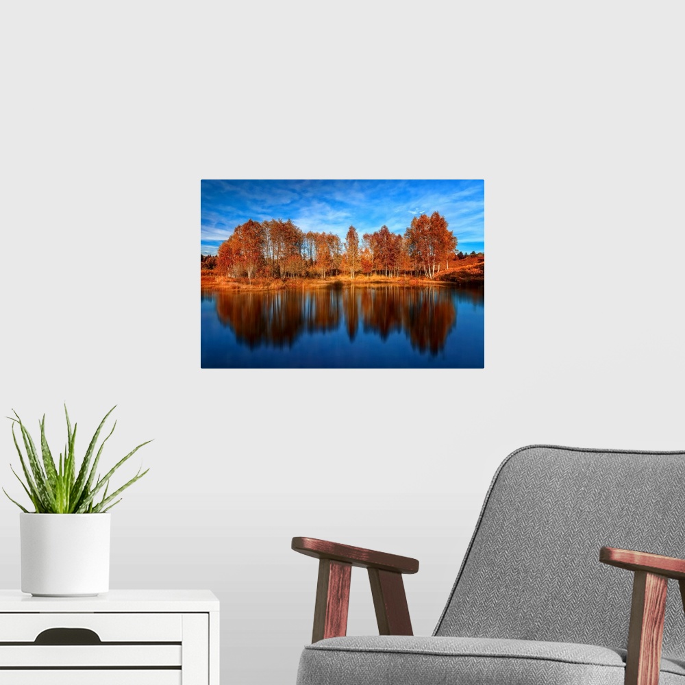A modern room featuring Bright orange trees reflected in the deep blue water of a lake.