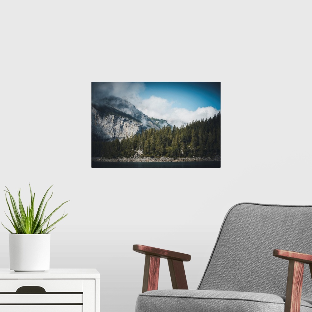 A modern room featuring Swiss landscape with fir trees and mountains