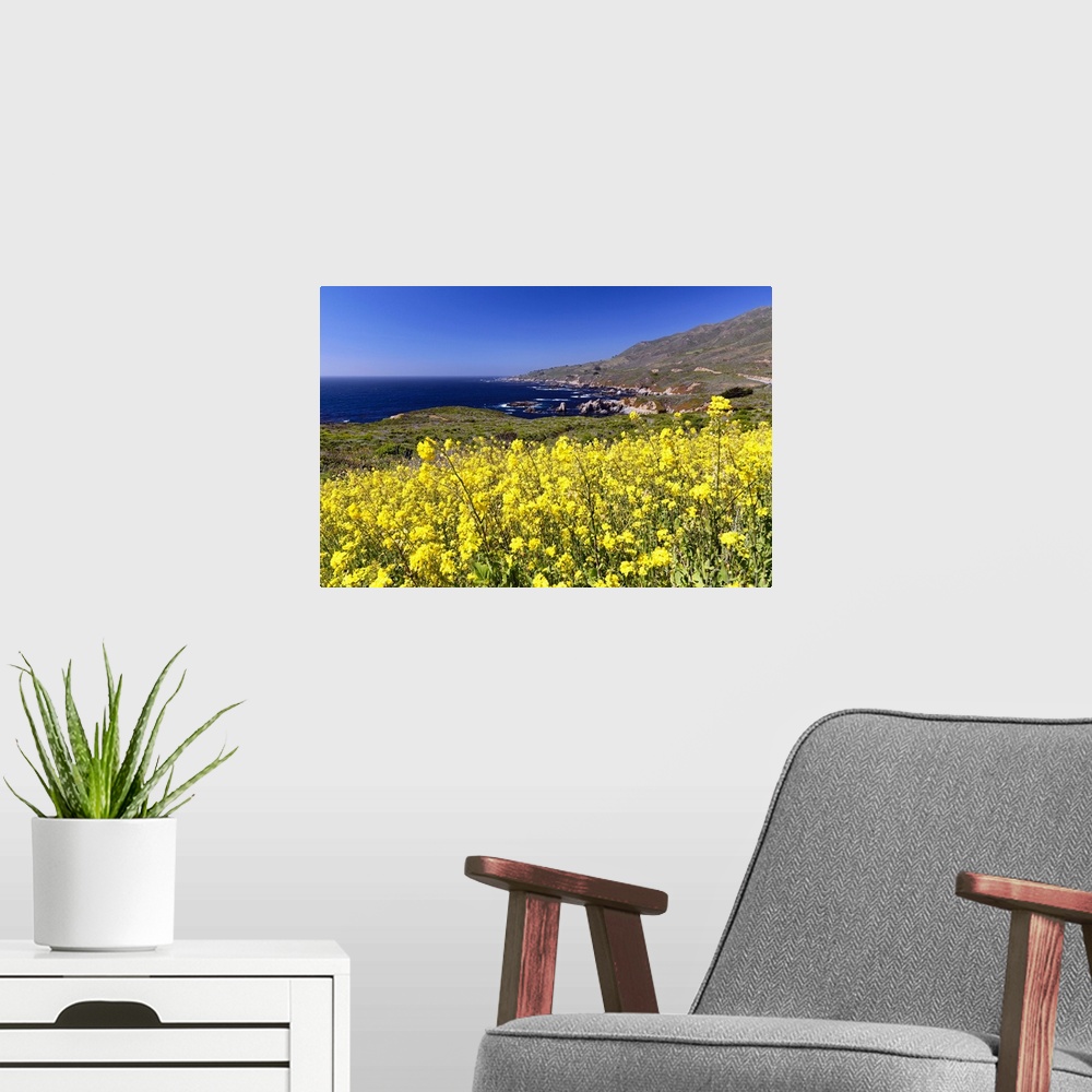 A modern room featuring Yellow Mustard Blooming at the Coast, Garrapata State Park, Big