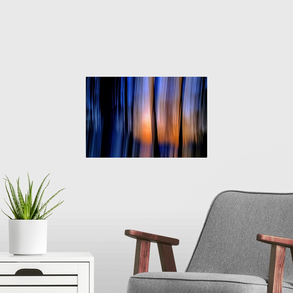 A modern room featuring Abstract view of a group of cedars at sundown