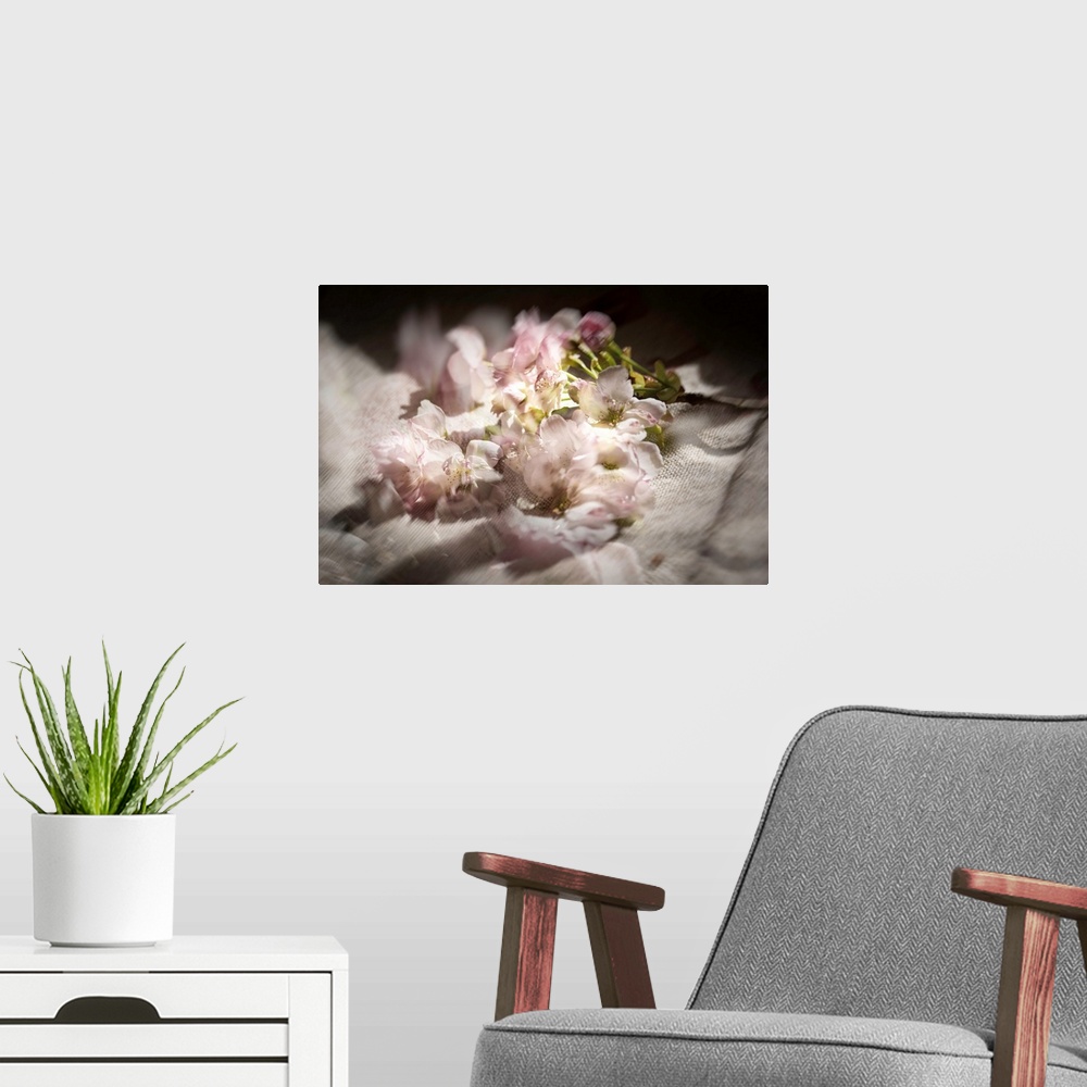 A modern room featuring Dreamy photograph of cherry blossom flowers on linen with multiple exposures.