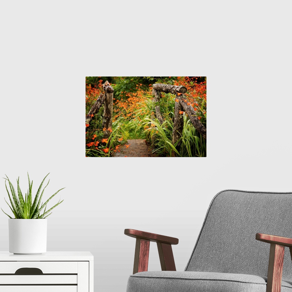 A modern room featuring Fine art photo of a garden path with bright flowers and a wooden gate.
